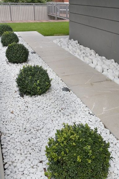 Walkway bordered by white rocks and neatly shaped green bushes.