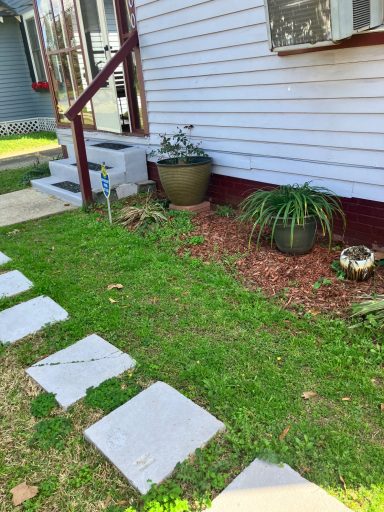 Pathway of stone tiles leading to a house with plants and landscaping.