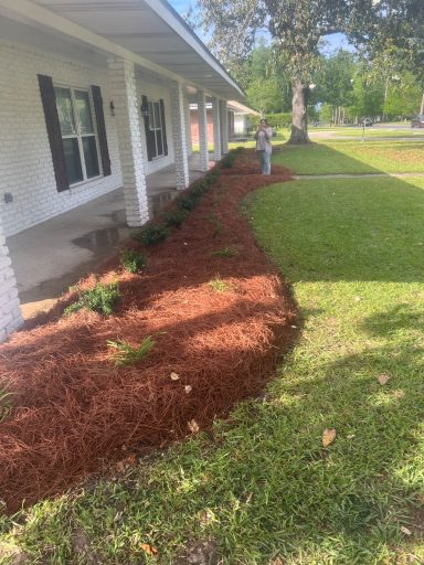 Freshly mulched landscape along a house, with flowers and green grass visible.